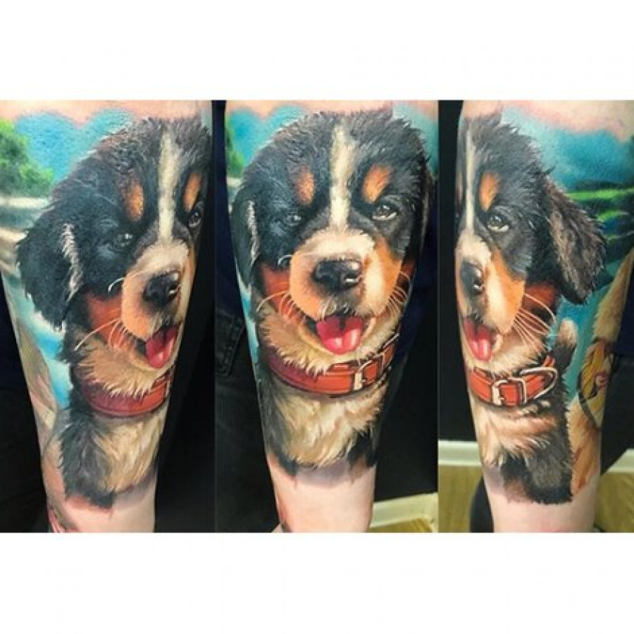 Краска World Famous Tattoo Ink Ilya Fom's Animal Kingdom Set (16 пигментов)