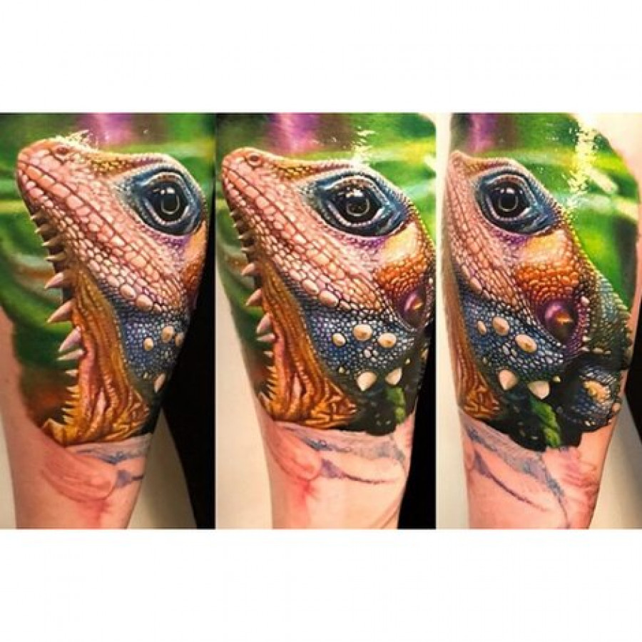 Краска World Famous Tattoo Ink Ilya Fom's Animal Kingdom Set (16 пигментов)